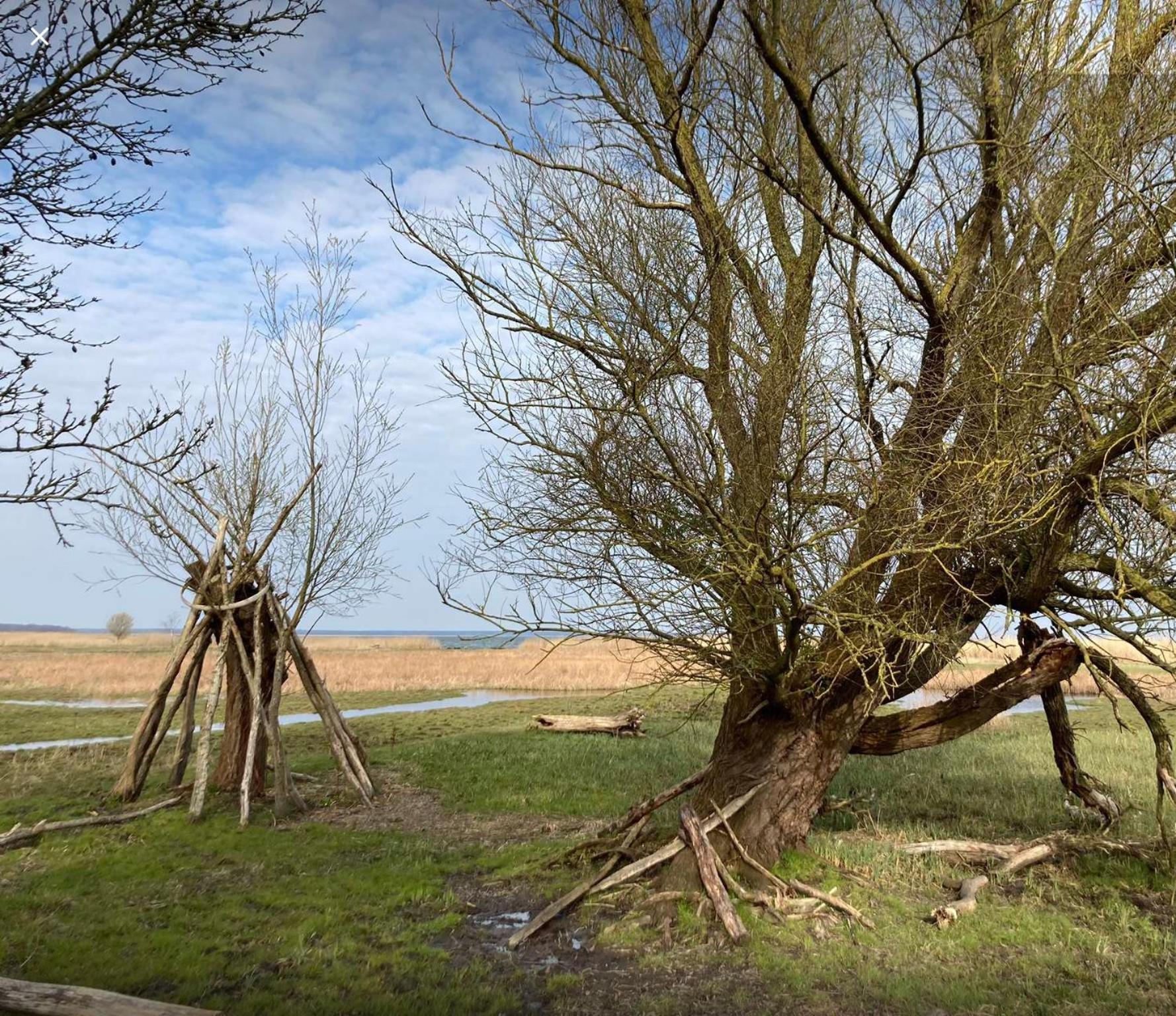 Appartamento Zum Froschkoenig Ahrenshoop Esterno foto